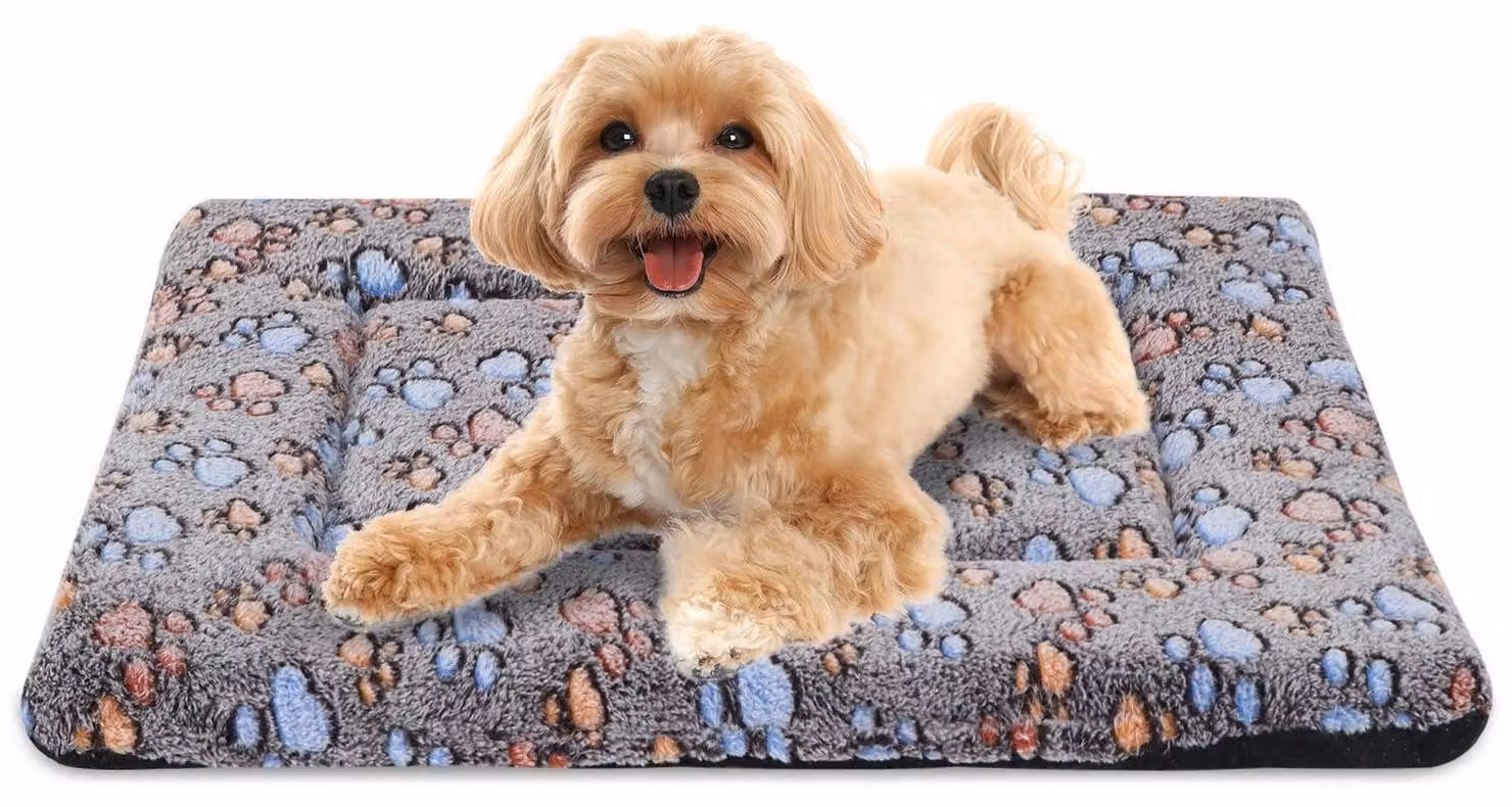 Cuccia ortopedica per cani, 100x80 cm, colore marrone (Coffee Paw), lavabile in lavatrice, antiscivolo