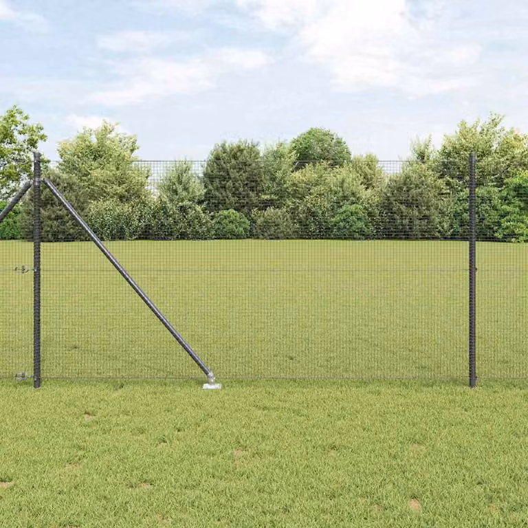 Recinzione in rete saldata con punte 10 x 1 m (L x H)