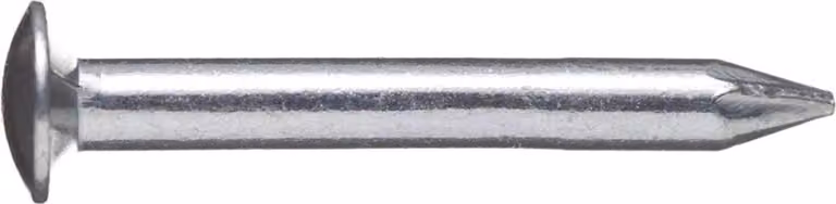 Chiodi in acciaio Bär con testa bombata 2,0 x 40 mm 100 pezzi, testa a lenticella