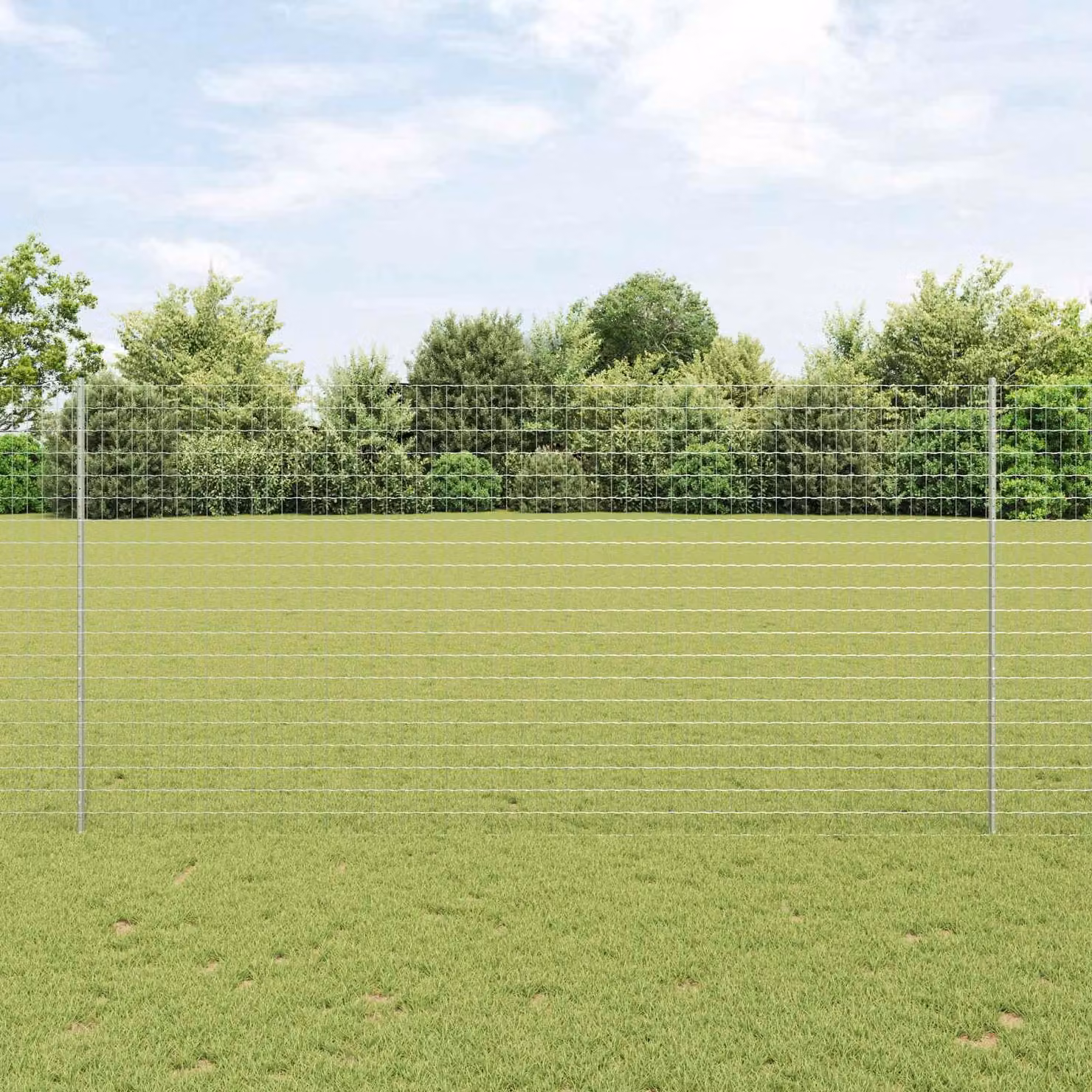 Recinzione in Rete Saldato 10 x 1,6 m (L x A)