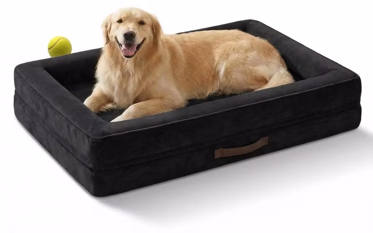 Cuccia ortopedica per cani, taglia XL, lavabile, colore nero, dimensioni 117x76x19 cm