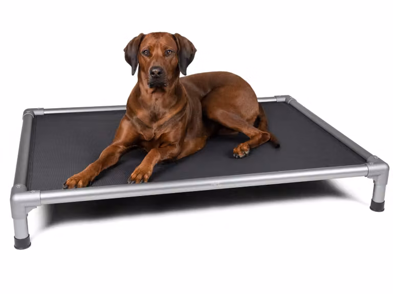 TrendPet HighBed letto alto per cani grigio (108x80x18cm)