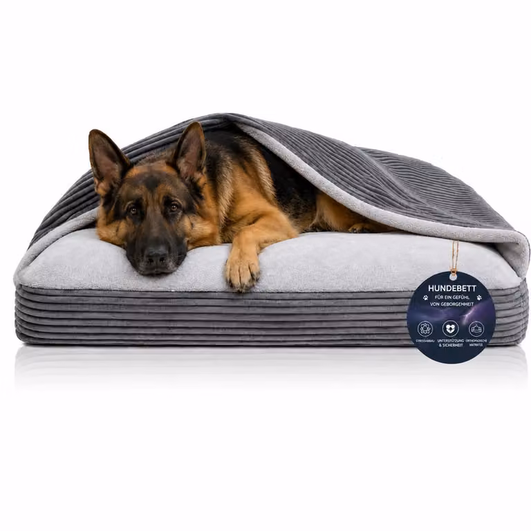 Cuccia ortopedica per cani, cuccia a tana che allevia le articolazioni XL 100 × 80 cm, grafite