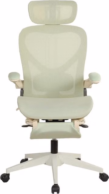Sedia da ufficio ergonomica con supporto lombare regolabile, poggiatesta e braccioli pieghevoli in rete verde