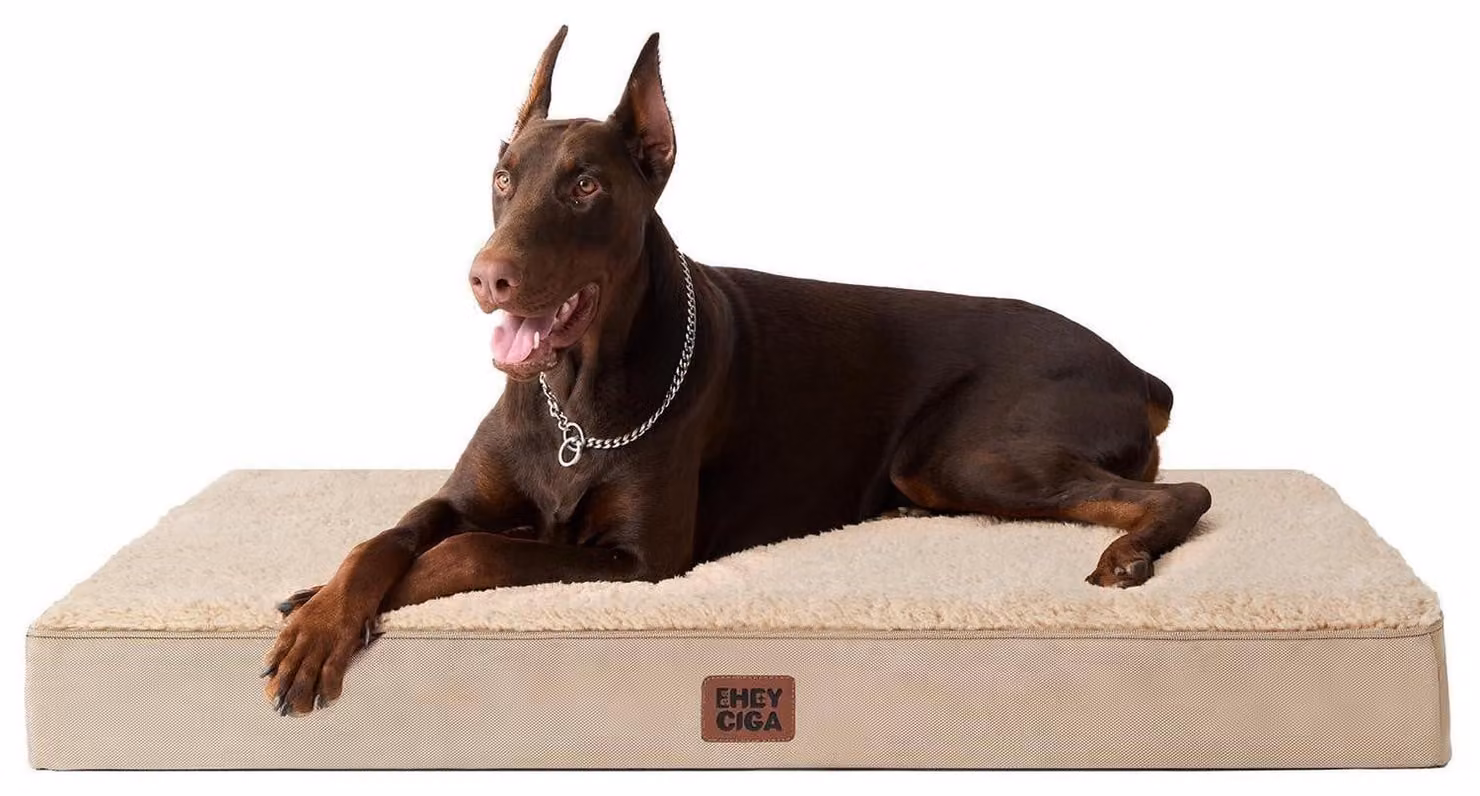Cuccia ortopedica per cani, taglia XXL, 120x74 cm, color kaki, lavabile
