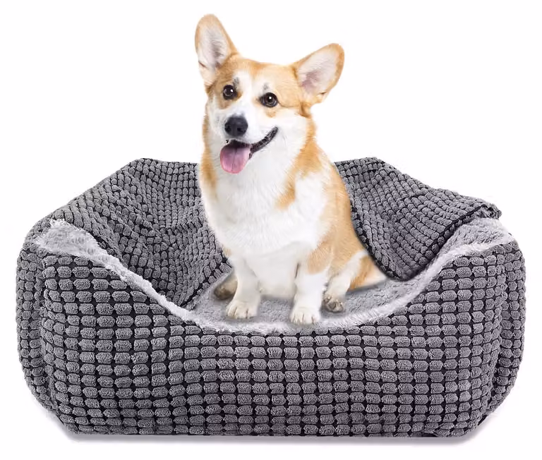 Cuccia per cani 2-in-1 con coperte rimovibili, adatta a cani di taglia media