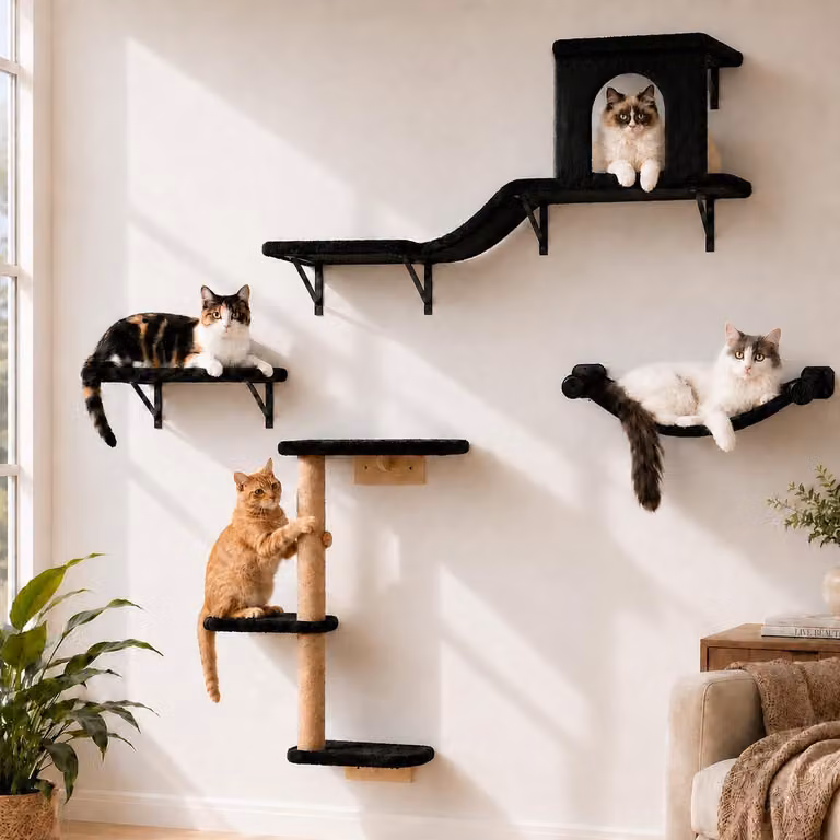 Set di mensole a forma di parete per gatti, 4 in 1, struttura per arrampicata con tiragraffi e amaca, per uso interno