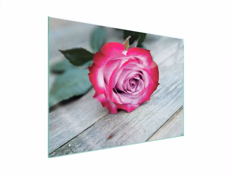 Pannello Protettivo In Vetro Per Levatori 70X52 Rose