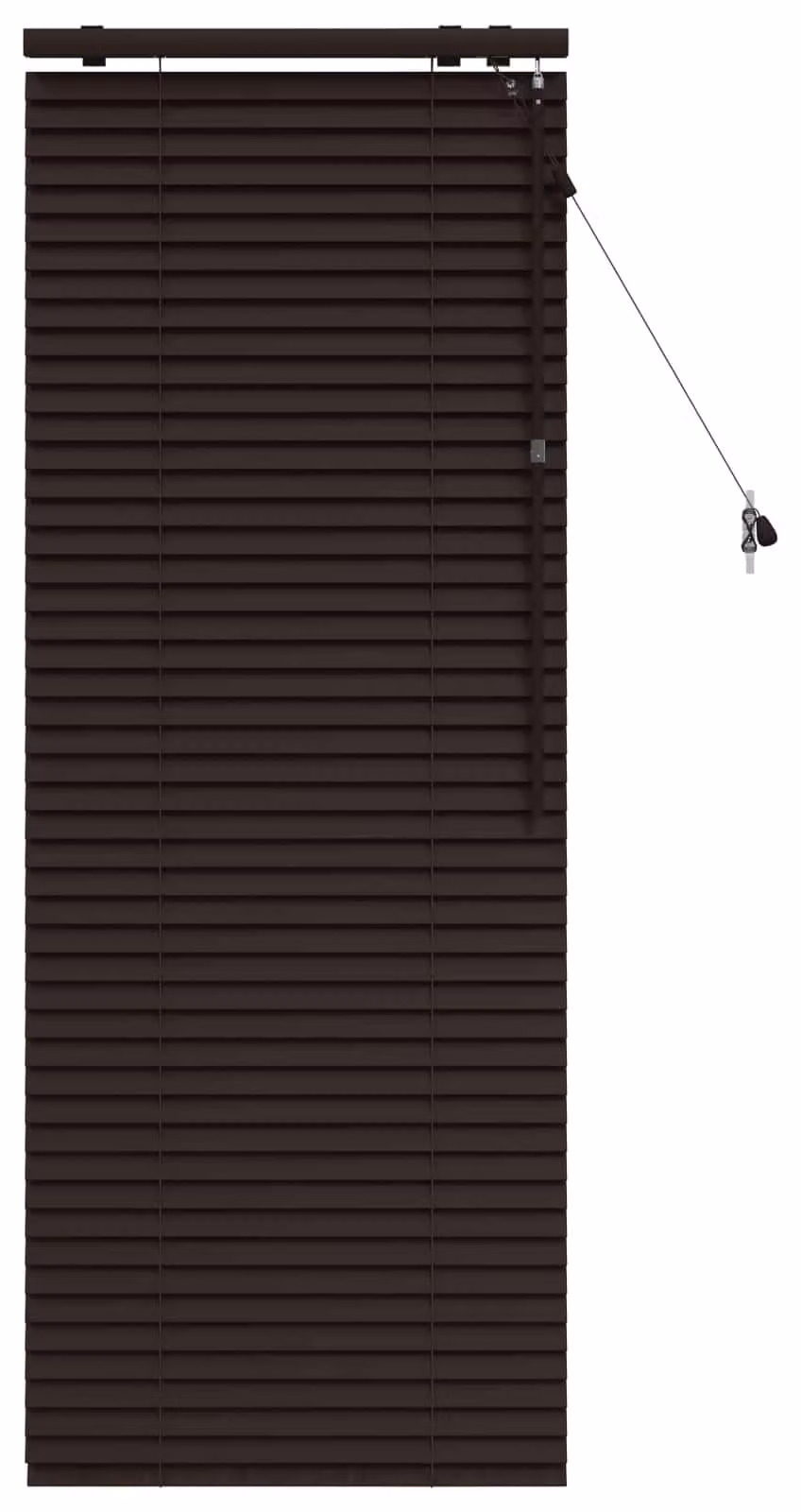 Persiane avvolgibili per finestre Venet, colore marrone scuro, dimensioni 60 x 160 cm, larghezza lamelle 35 mm