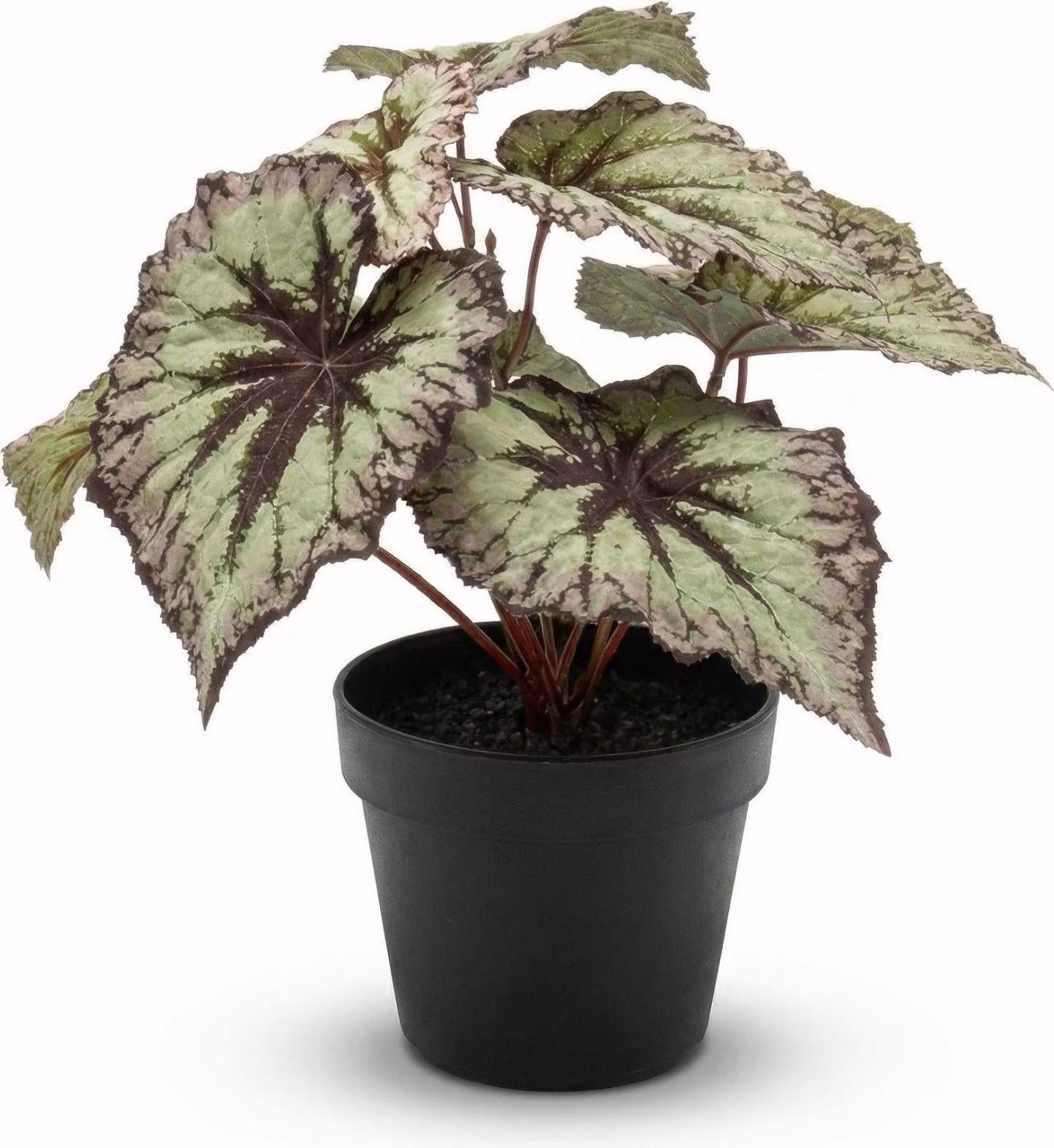 Pianta artificiale di begonia - ca. 26cm - Foglie grigie e viola - Resistente