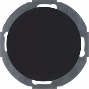 Berker 10092035 Tappo cieco con elemento centrale nero lucido, serie R.classic