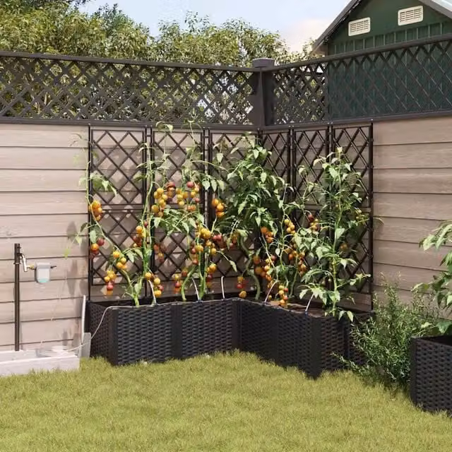 Vaso da giardino 5 pz Nero 120 x 120 x 142 cm PP 42002856