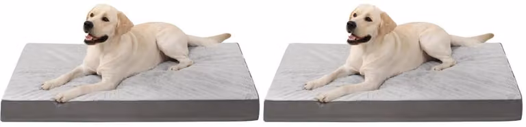 Cuccia ortopedica per cani, lavabile, grigia, confezione da 2, dimensioni 105x70 cm