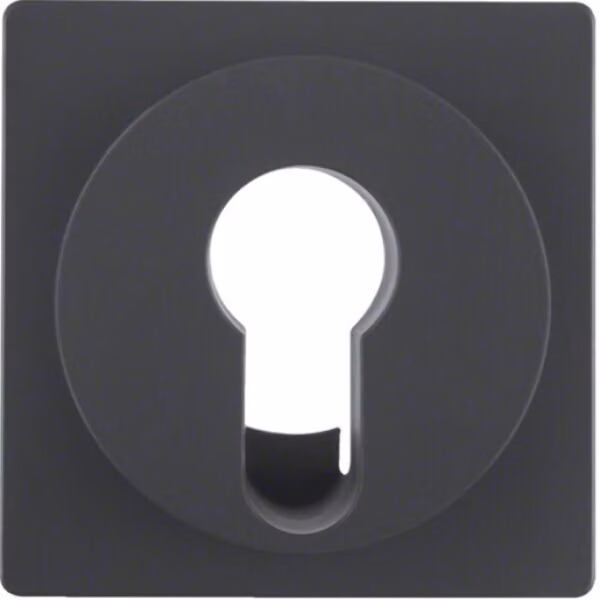 Berker 15076086 Piastra centrale per interruttore a chiave/pulsante antracite con Berker Q.1/Q.3