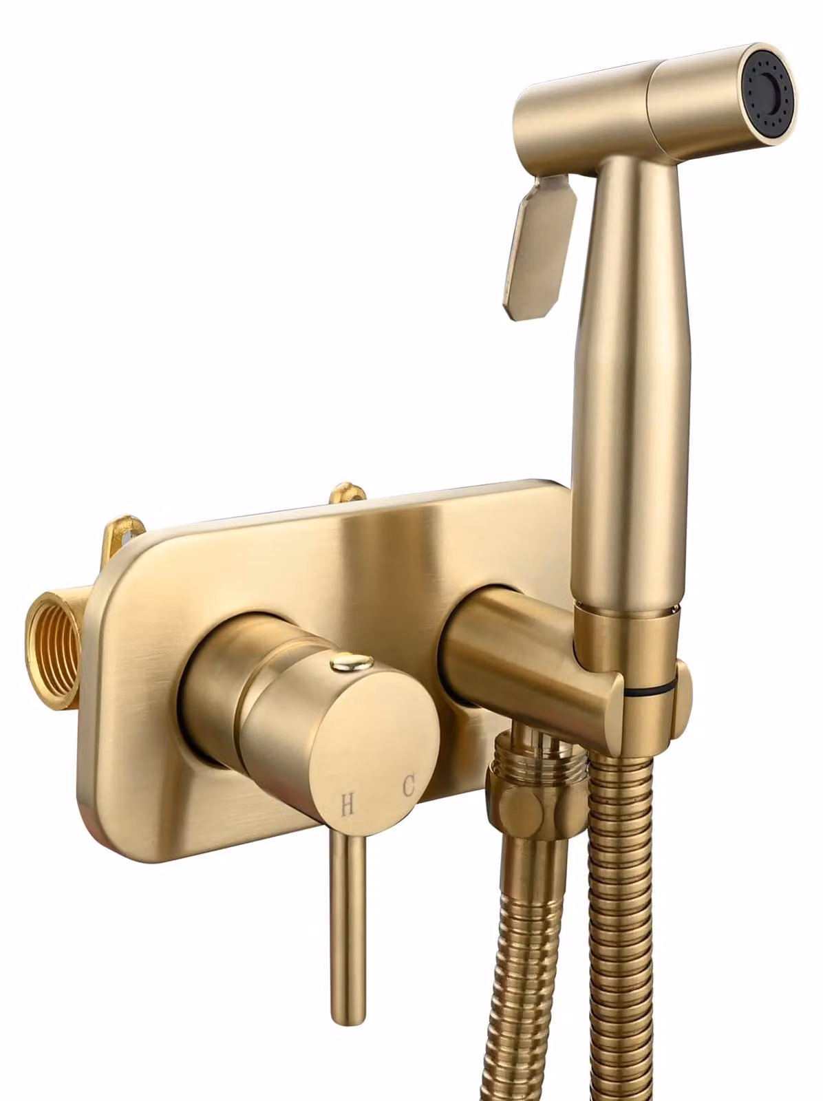 Tecmolog, set portatile per bidet con spruzzatore, modello WS024J2F2, con acqua calda e fredda, finitura spazzolata