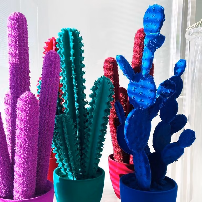 Complemento d'arredo Pickly Cactus Adriani e Rossi