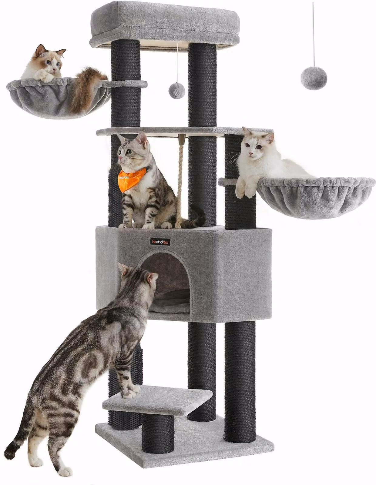 Albero Per Gatti Grandi, Torre Per Gatti Pesanti Con Auto-Riga, 2 Auto-Riga, 9 Pali, Grande Trespolo, Grotta, Cestini, 50