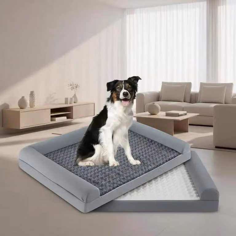 Cuccia ortopedica per cani, taglia XL, con cuscino in schiuma a forma ovale