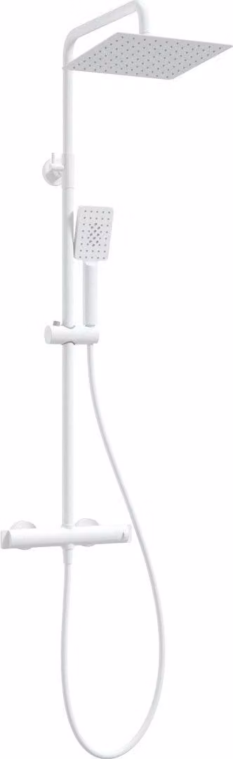Showerhead w/ thermostatic shower mixer