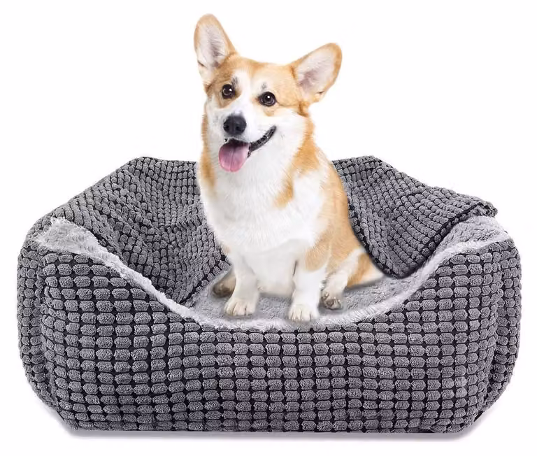 Cuccia per cani con coperta removibile, lavabile, antiscivolo, adatta a cani di taglia media fino a 14 kg, dimensioni 64x53x20 cm