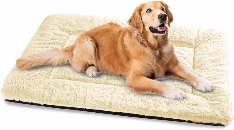 Cuccia per cani, adatta a cani di grossa taglia, lavabile, dimensioni 122 x 75 cm, cuccia super morbida per gatti con base antiscivolo, color beige