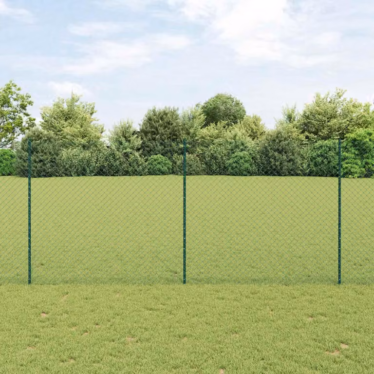 Maison Exclusive - Recinzione con Posto Verde 1,4 x 10 m Acciaio e PVC