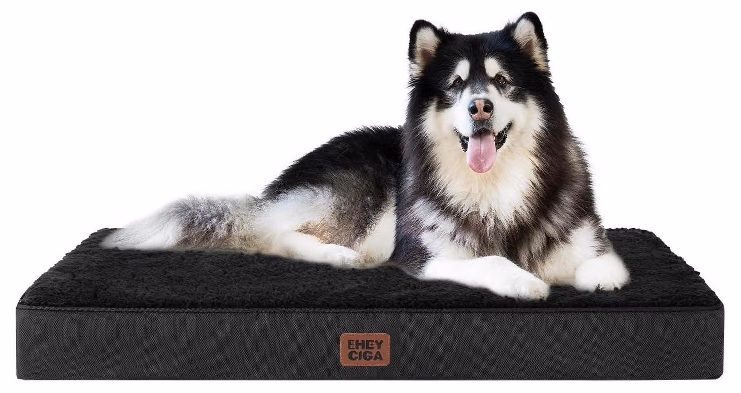 Cuccia ortopedica per cani, 120x74 cm, lavabile, colore nero
