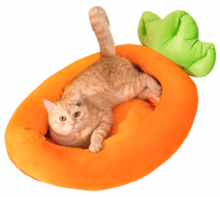 Cuccia per cani lavabile, a forma di radice, per piccoli animali