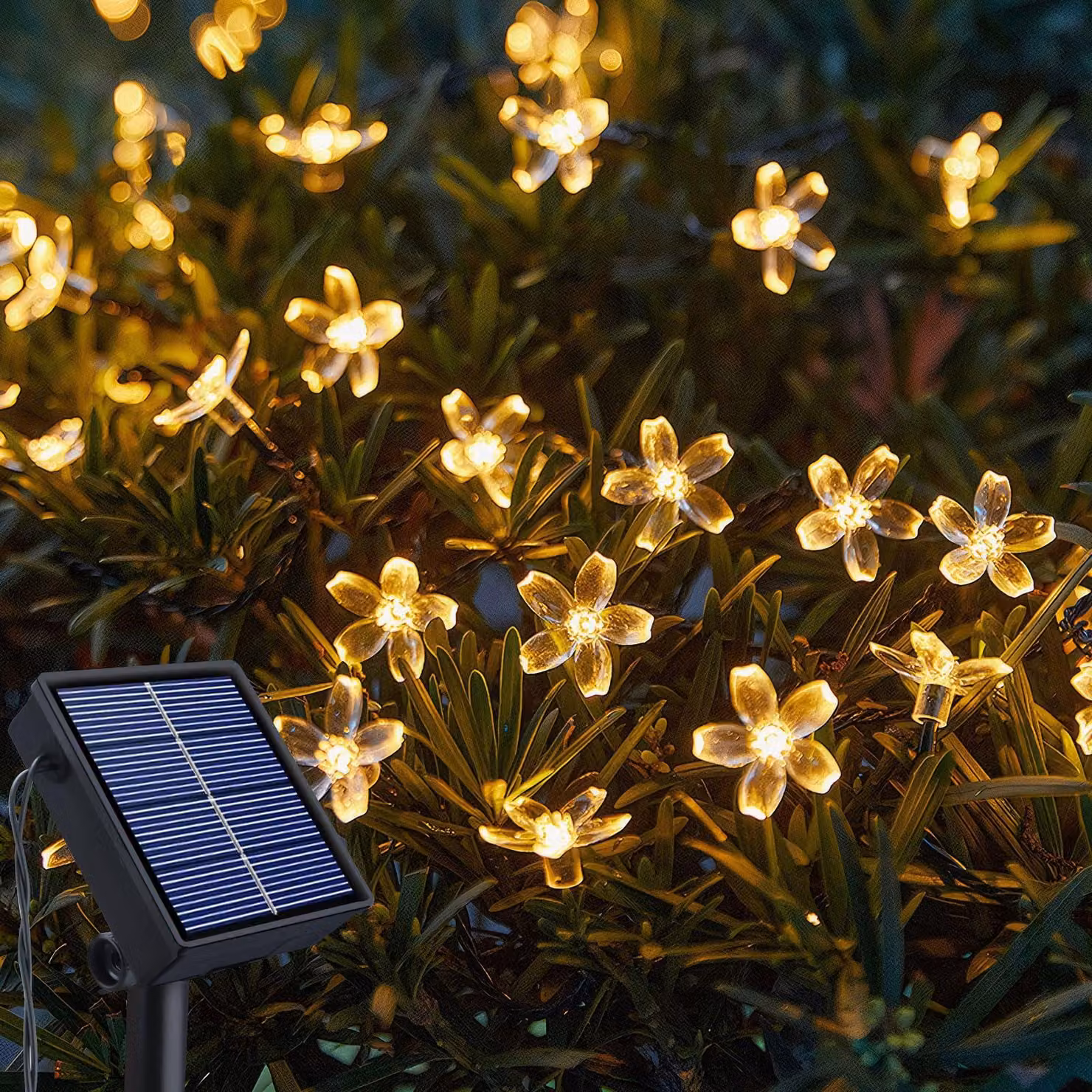 Catena luminosa solare, 12 metri, 100 LED a forma di fiore di ciliegio, 8 modalità, grado di protezione IP65