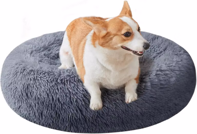 Cuccia per cani e gatti, diametro 60 cm, forma a ciambella, lavabile, base antiscivolo, ideale per cani di piccola taglia