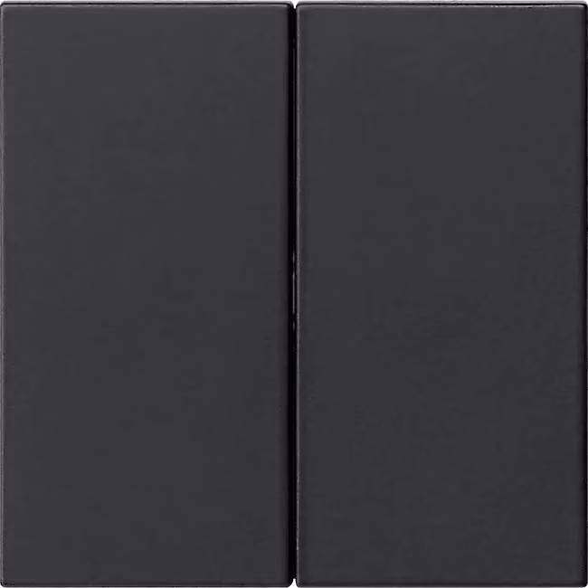 Unità di controllo superiore 2x sw - Controllo intelligente nero 5362005