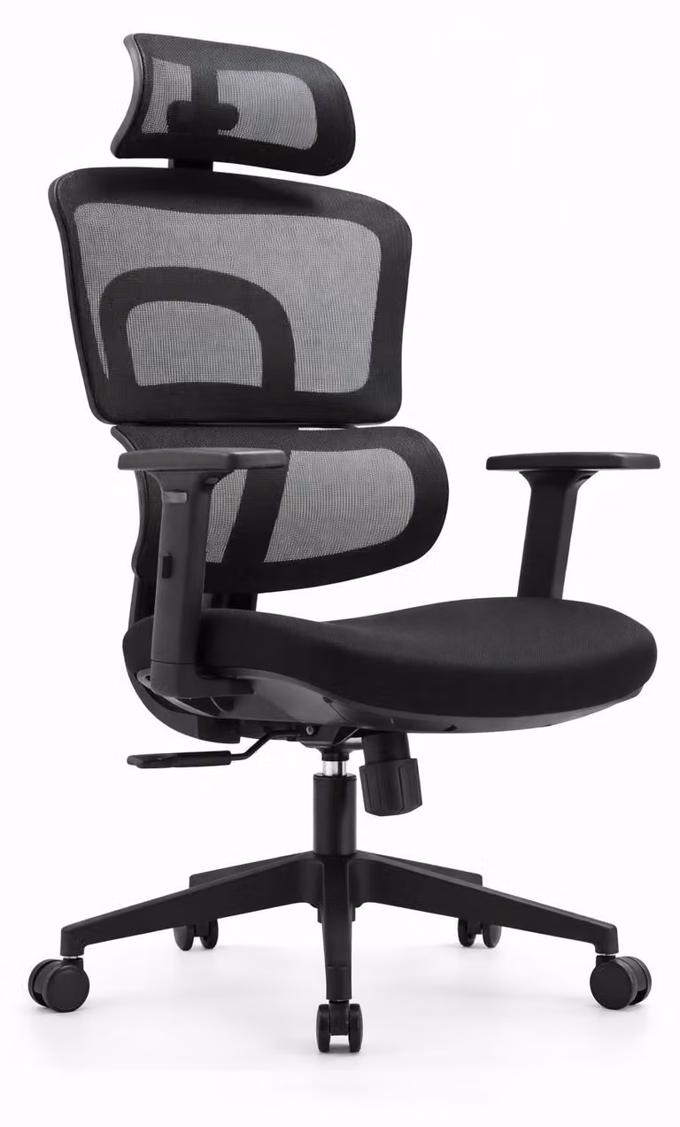Sedia da ufficio ergonomica con poggiatesta e braccioli regolabili