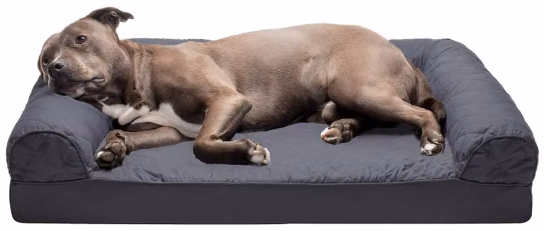 Letto ortopedico grande per cani, modello divano imbottito, con rivestimento removibile e lavabile