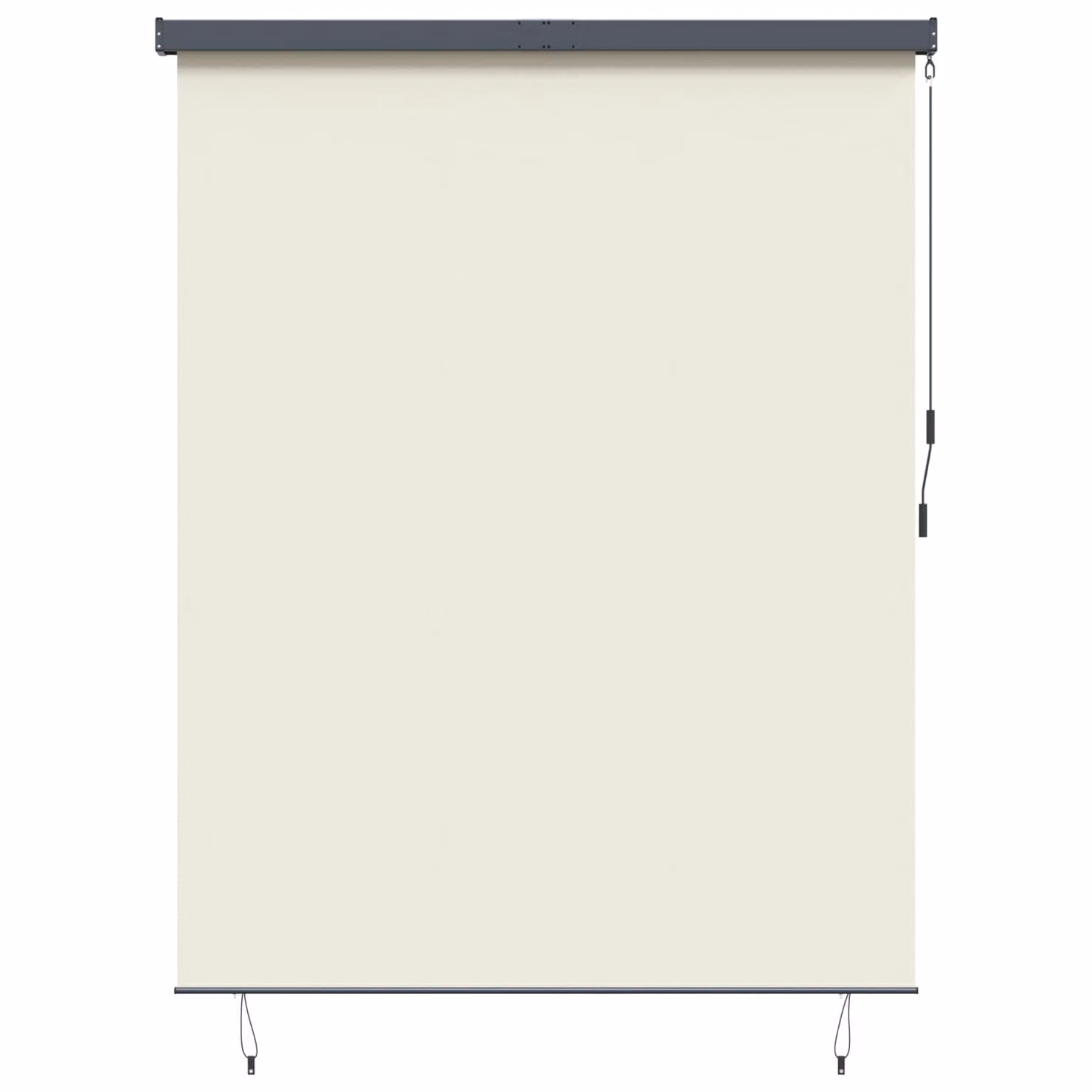 Tenda a rullo vidaXL in poliestere e alluminio, colore beige, L 220 cm x H 250 cm