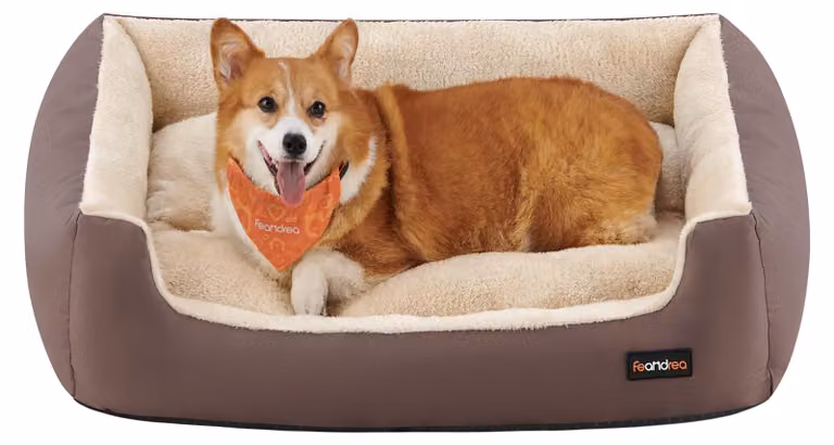 Cuccia per cani con bordi rialzati - cuscino reversibile - PGW04Z