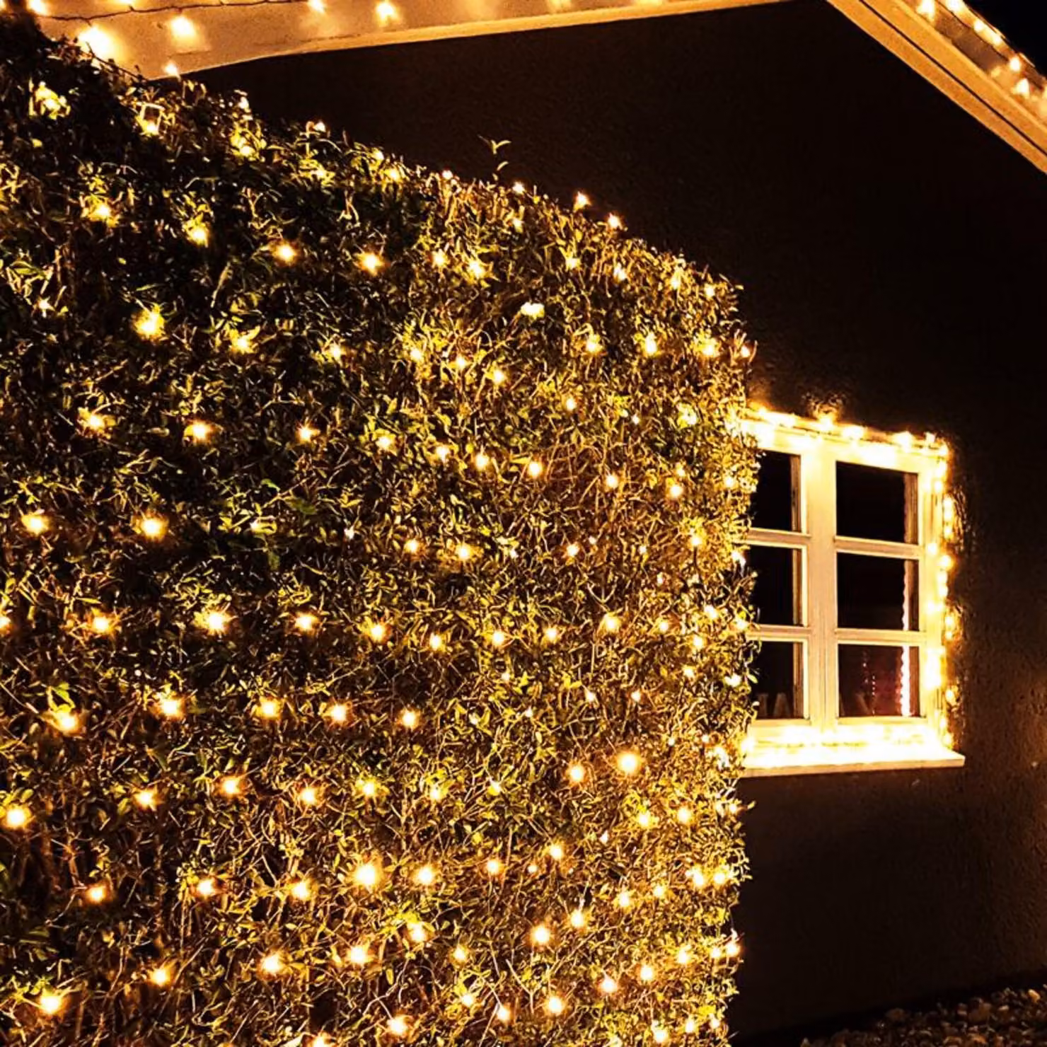 ACA Lighting 240 LED di rete, bianco caldo, 220-240V, estensibile fino a 3 set, IP44 200x150cm cavo verde X08240111