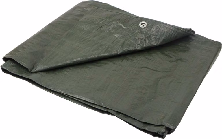 Telone BSD - Telone impermeabile, telone in tessuto, telone protettivo - Spesso - Verde - 80g/m? - 10x15m