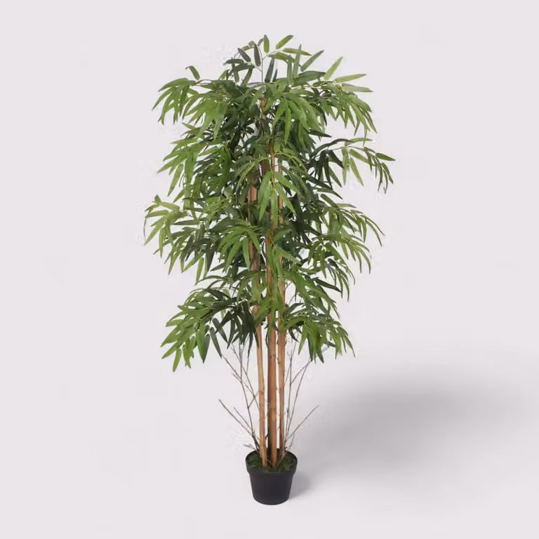 Tukra - Finta pianta di bambù con foglie in poliestere H 150 cm