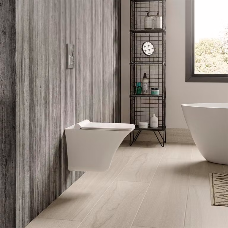 Sanitario Sospeso Moderno Senza Brida Con Sedile Soft-Close