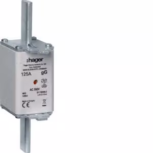 Cartuccia fusibile NH NH2C gG 500 V 125 A con indicatore combinato e linguetta di presa in metallo