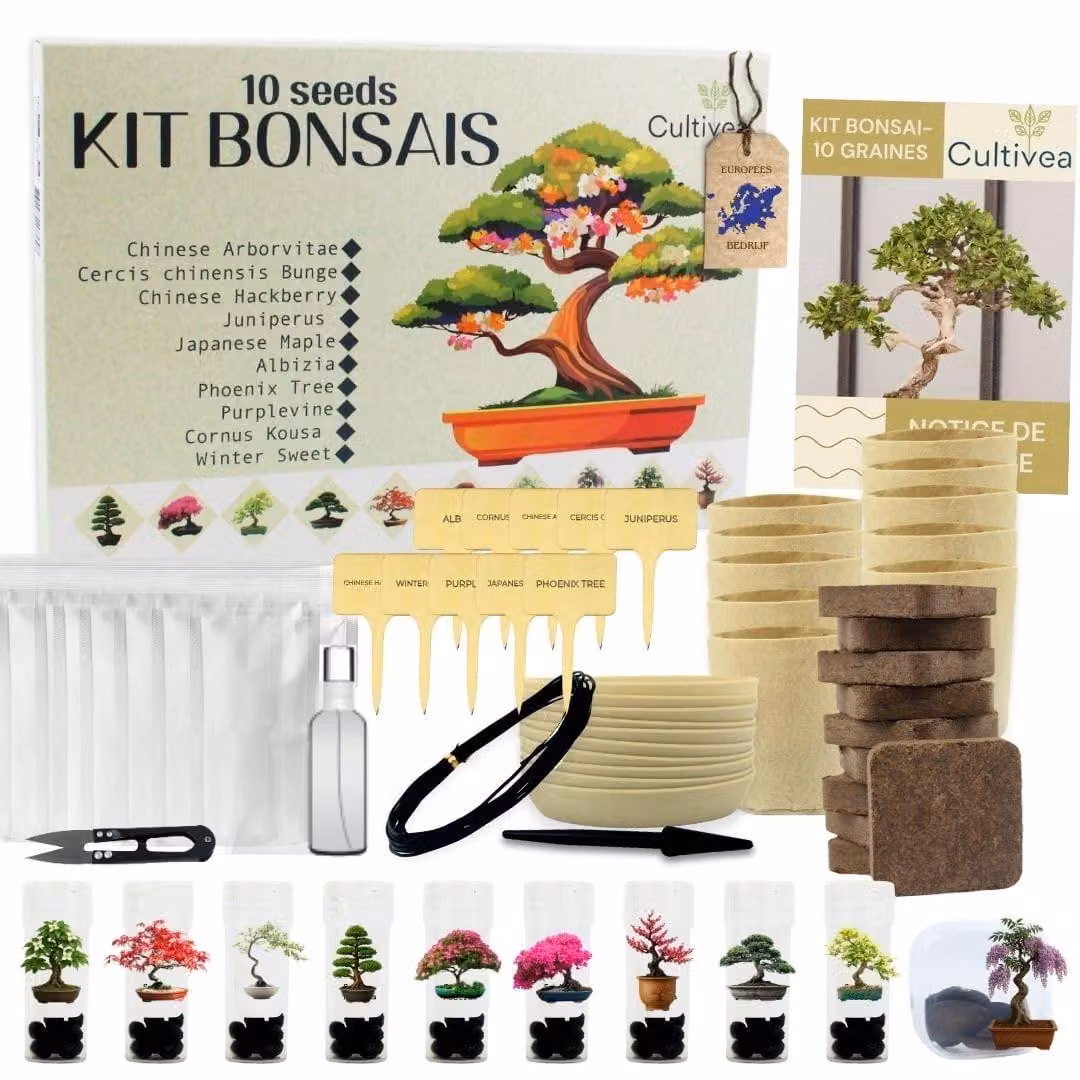 Kit starter bonsai - Set di 10 semi - Kit completo con vasi e attrezzi - Idea regalo per principianti