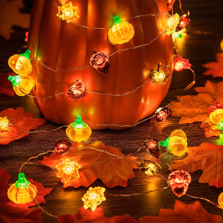 Catena luminosa da 3 metri, con 30 LED, decorazione autunnale, per interni