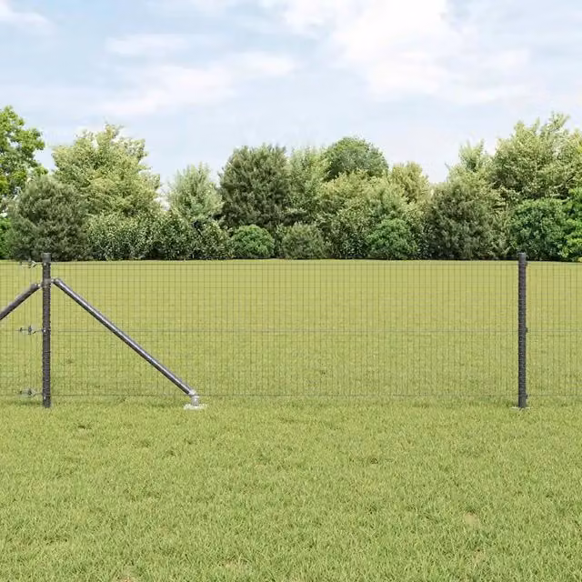 Recinzione in rete saldata con punte 50 x 0,5 m Grigio Rete 3352224