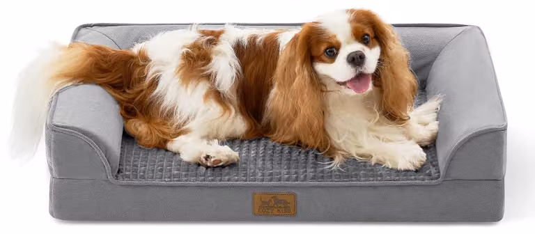 Letto ortopedico per cani, lavabile, adatto a cani di piccola e media taglia