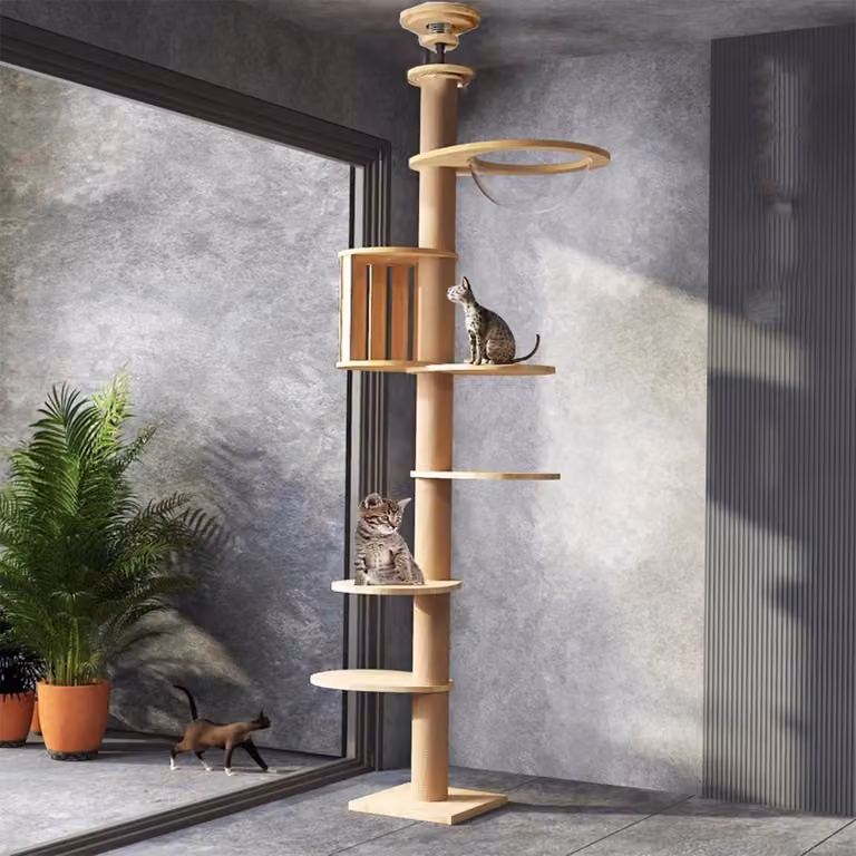 Albero per graffiare robusto da fissare al soffitto, con corda in sisal: intrattenimento fisico e mentale per i gatti