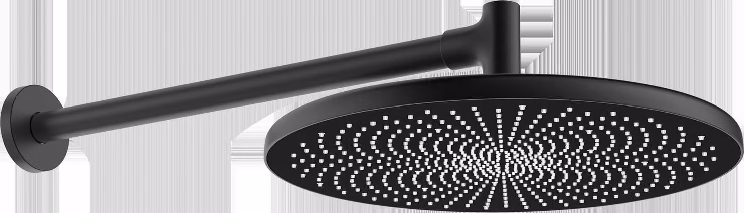 Douche de tête HANSA HANSAAURELIA, diamètre 300mm, 1 jet, montage mural, 4726030033, 4726030033