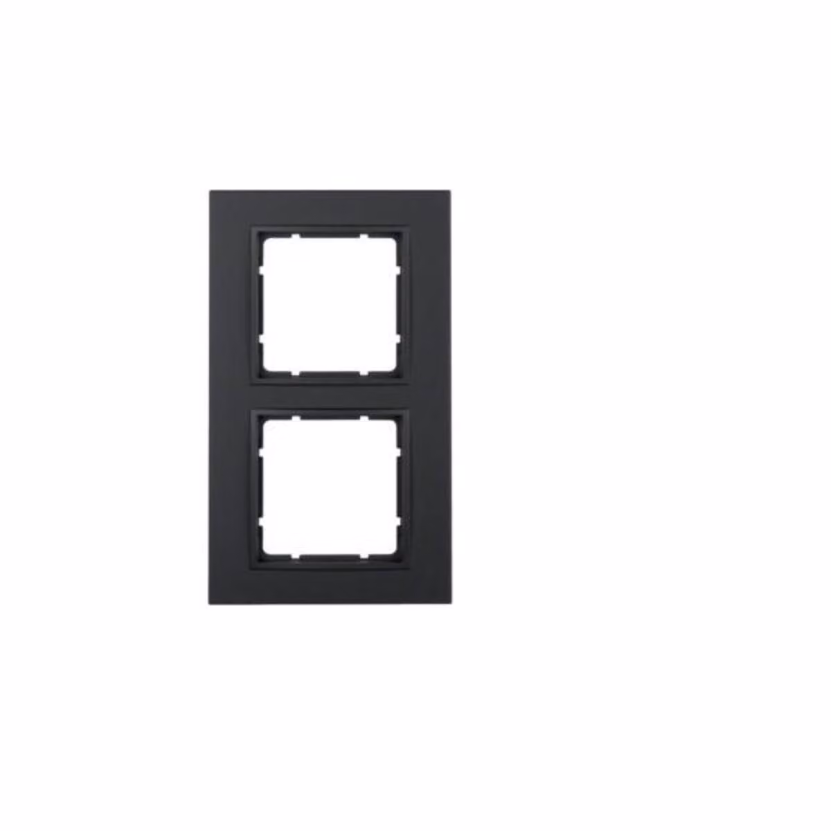 Berker frame anth/matt 2-gang 10126626