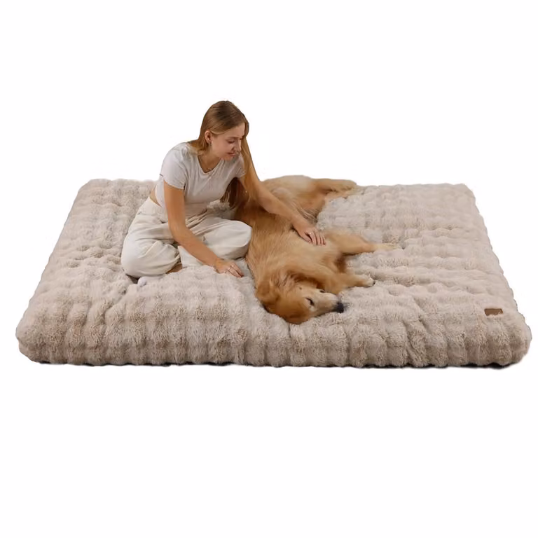 WISFOR Lettino ortopedico per cani, divano per cani, cuccia per cani, cuscino per cani, cuccia per cani di grossa taglia, rivestimento impermeabile e lavabile, sfoderabile, 3XL: 130x110x12 cm, beige