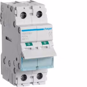 Interruttore 100 A, 2 contatti normalmente aperti, 400 V CA, 2 poli