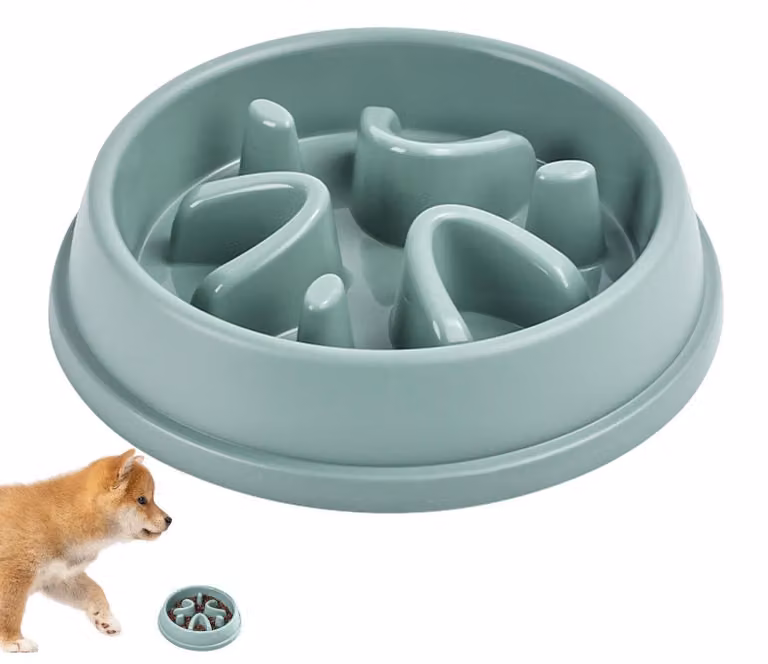 Ciotola per cani che rallenta l'alimentazione, per promuovere abitudini alimentari più sane